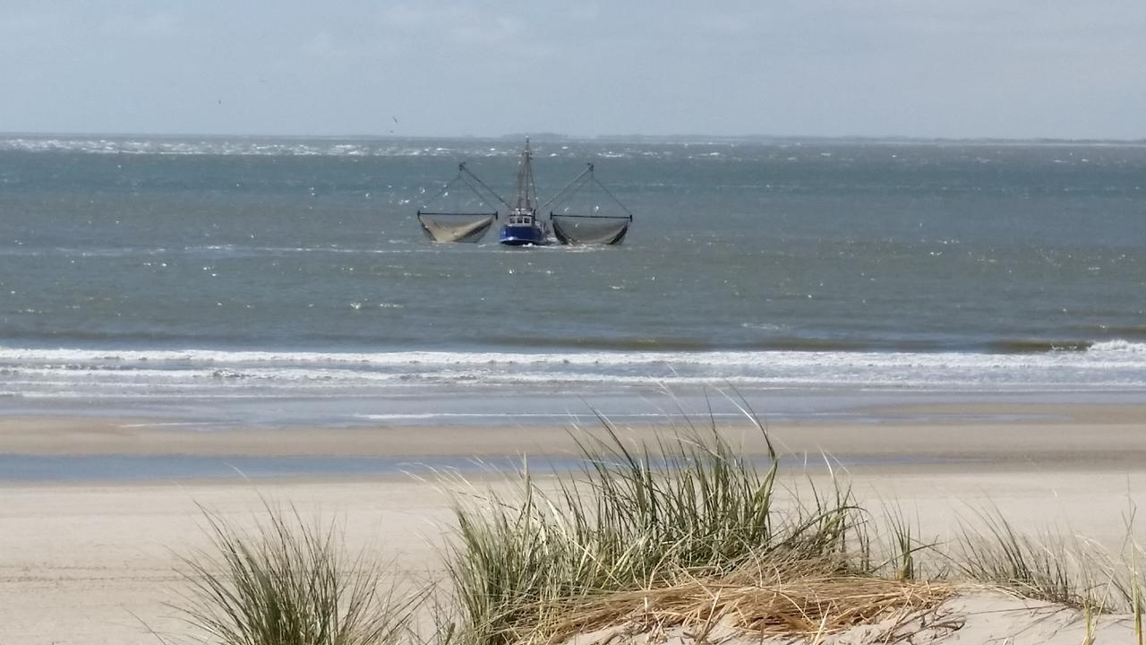 Chalet Duinzicht G68 Ameland Villa Buren  Buitenkant foto