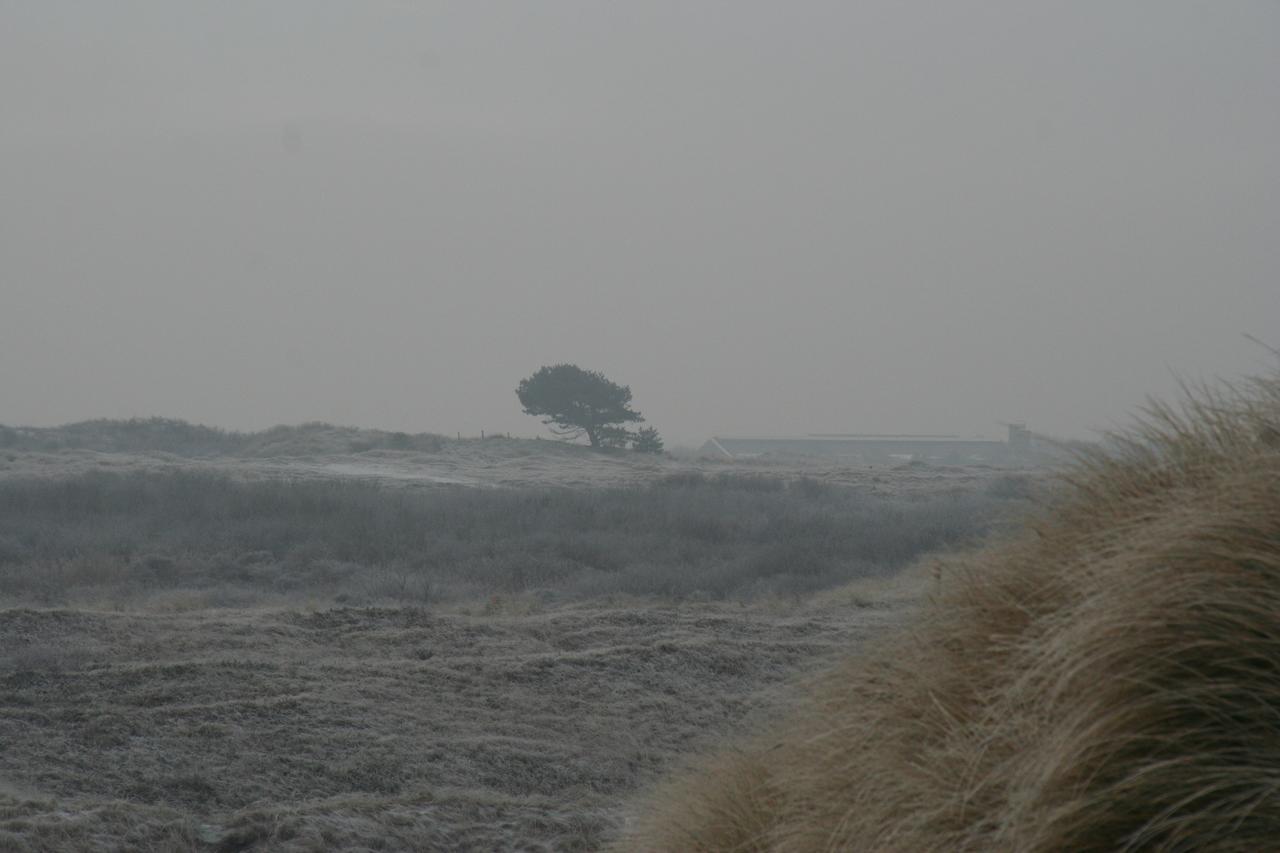 Chalet Duinzicht G68 Ameland Villa Buren  Buitenkant foto